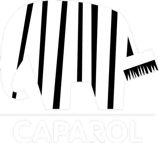 Caparol sklep